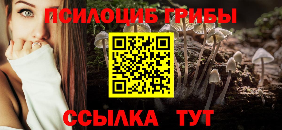 Псилоцибиновые грибы мухоморы Острогожск