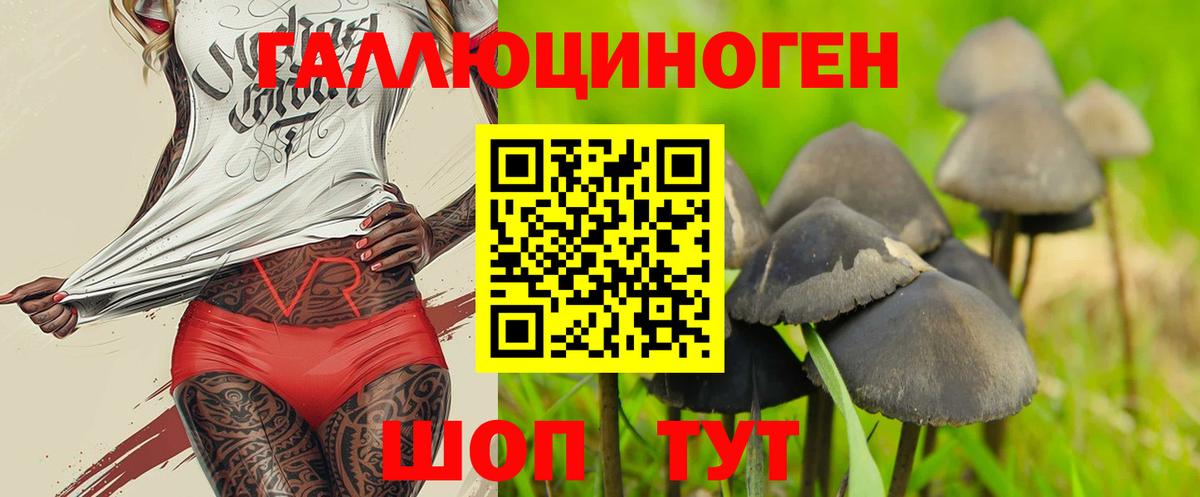 Псилоцибиновые грибы Cubensis  Псилоцибиновые грибы GOLDEN TEACHER  Вход с VPN  купить   Острогожск 