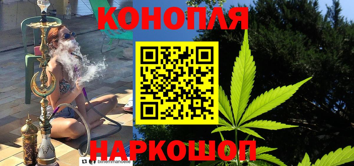 МАРИХУАНА MAZAR  Вход с VPN  Острогожск  Шишки марихуана гибрид  Марихуана White Widow 